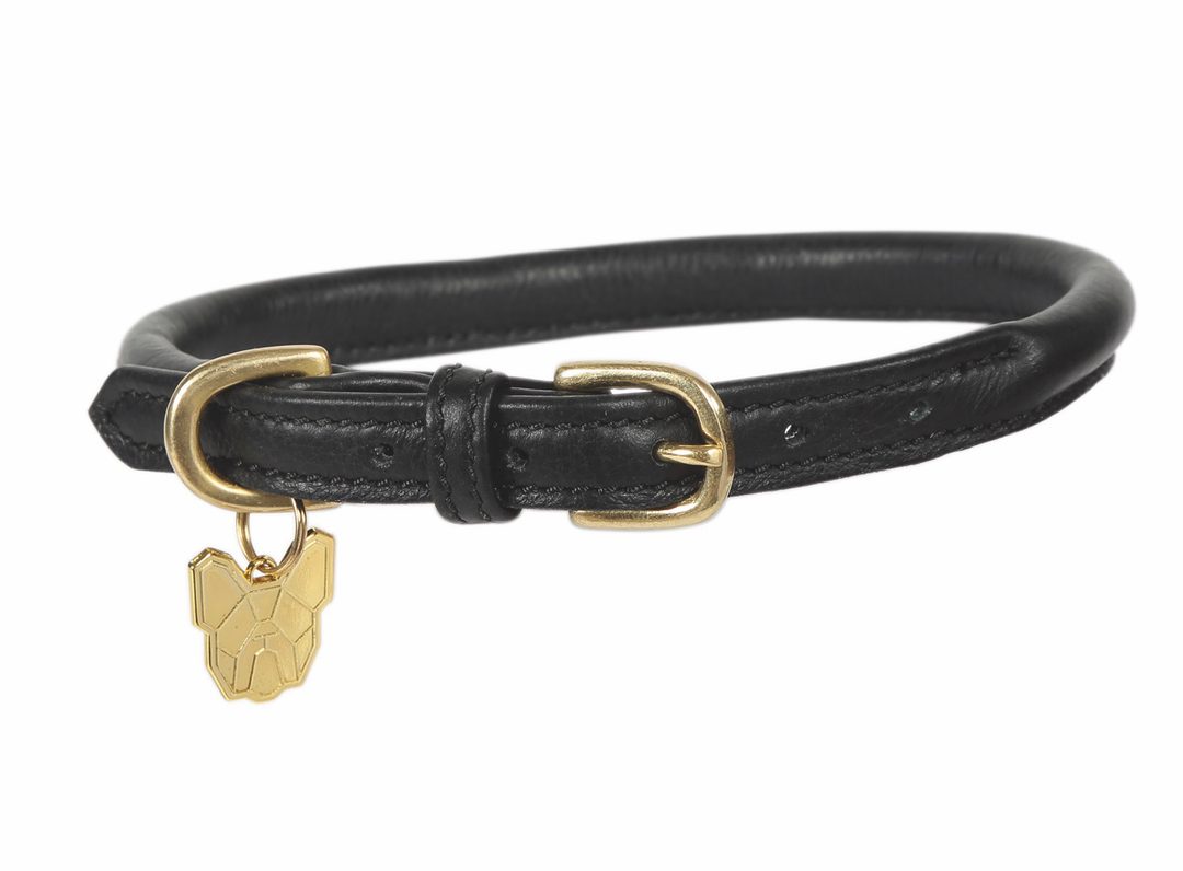 Shires Rolled Leather Dog Collar - Collar & Leads - Tally Ho Farm Ltd