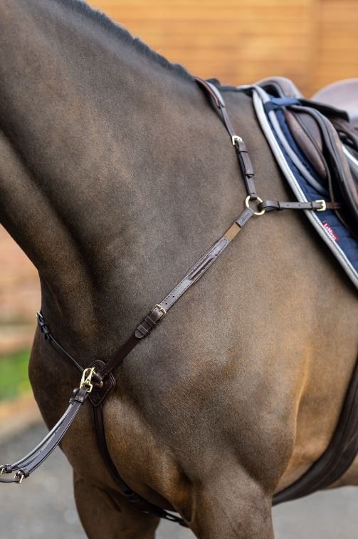 Le Mieux Breastplate with Detachable Martingale - Saddlery & Tack