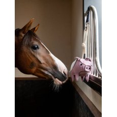 Le Mieux Horse Toy Flying Pig
