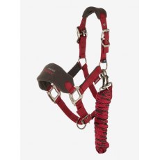 Le Mieux Mini Vogue Headcollar & Leadrope Ember