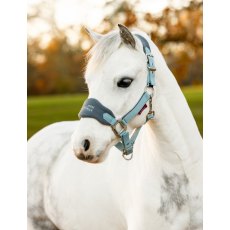 Le Mieux Mini Vogue Headcollar & Leadrope Glacier