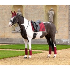 Le Mieux Loire Classic Dressage Square Ember