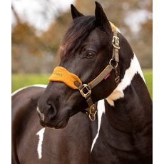 Le Mieux Vogue Headcollar & Leadrope Alpine