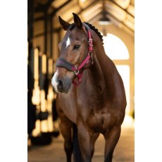 Le Mieux Vogue Headcollar & Leadrope Ember