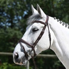 Antares Signature Flash Noseband Bridle Brown