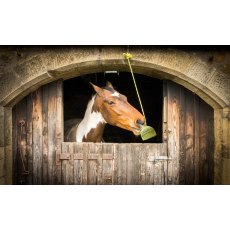 Silvermoor Swinger Amazing Apple Silvermoor Swinger Amazing Apple