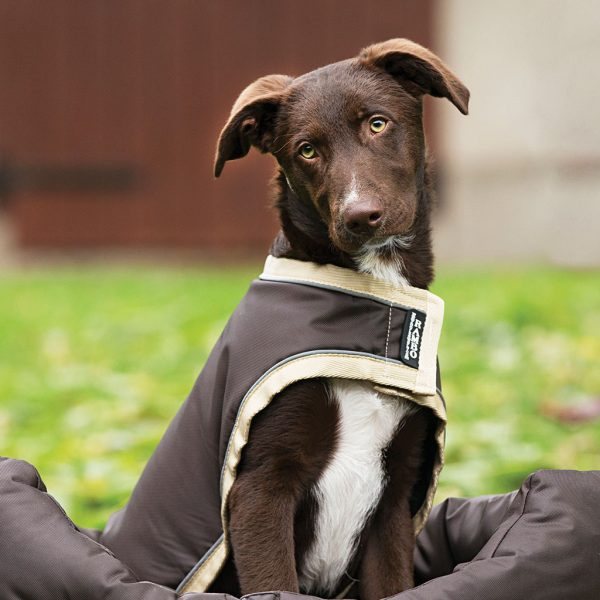 rambo waterproof dog rug