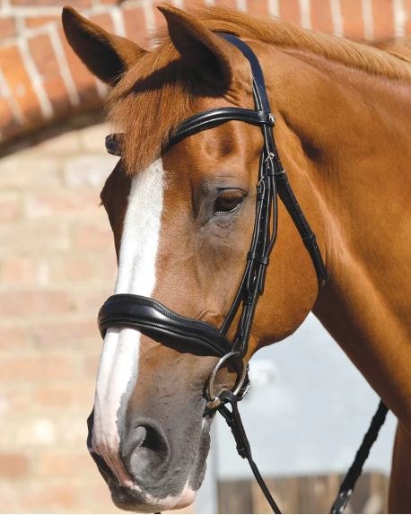 Premier Equine Verdura Anatomic Bridle - Saddlery & Tack - Tally Ho ...