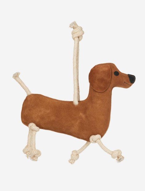 Sausage Dog