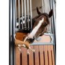 Le Mieux Le Mieux Horse Toy Sausage Dog