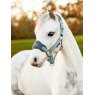 Le Mieux Le Mieux Mini Vogue Headcollar & Leadrope Glacier