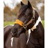 Le Mieux Le Mieux Vogue Headcollar & Leadrope Alpine